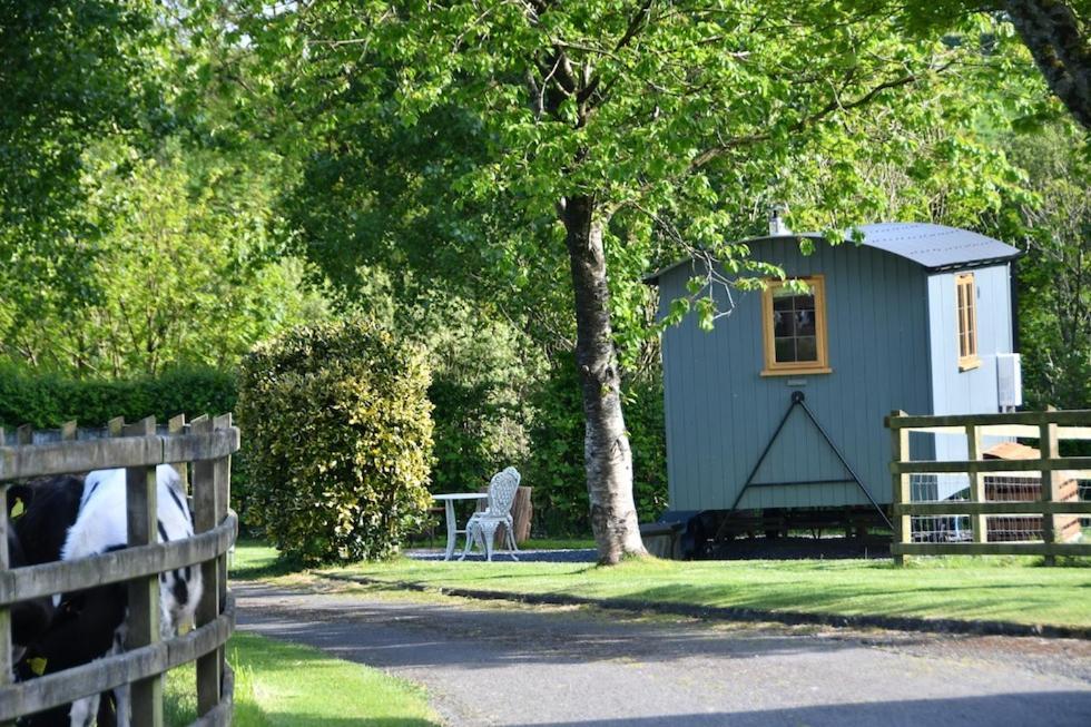 The Shepherds Hut Carmarthen Eksteriør bilde